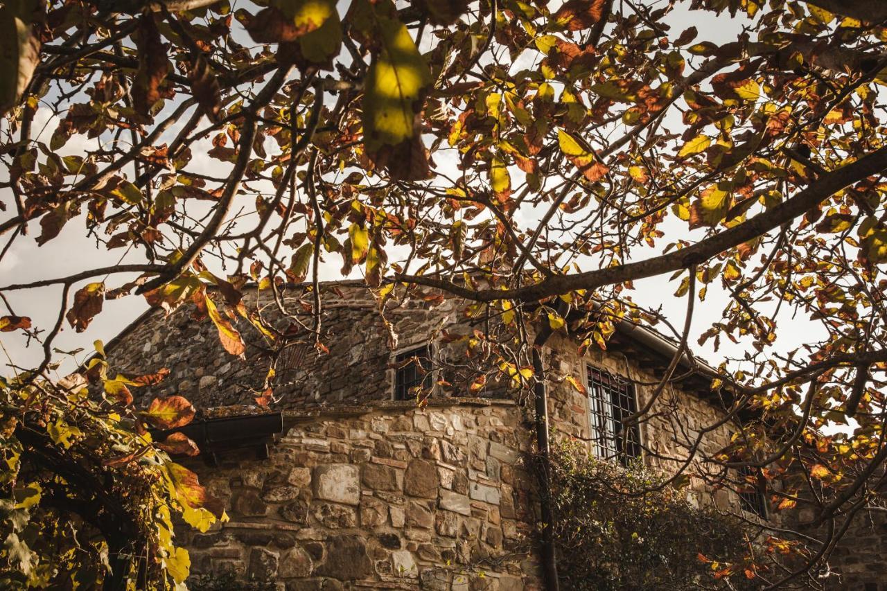 La Veronica Exclusive Chianti Resort Greve in Chianti Exterior photo